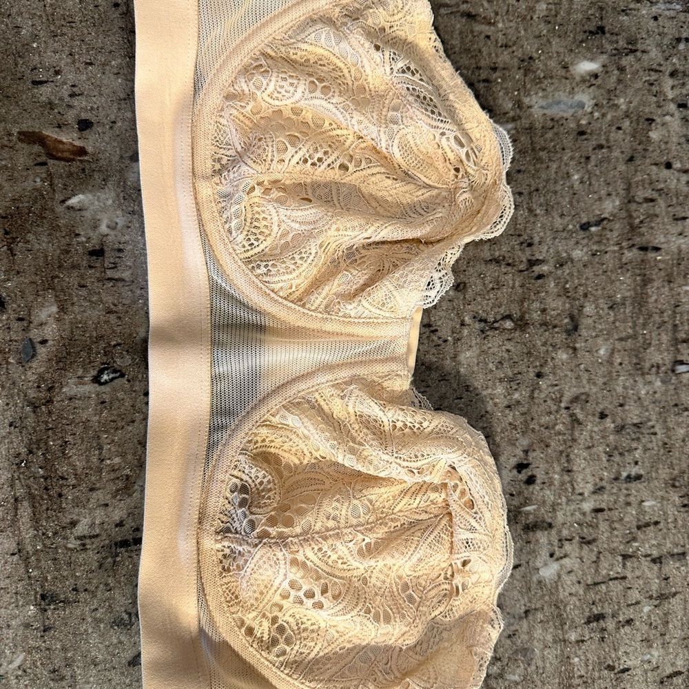 Lively Cream Lace Bra with Padded Cups